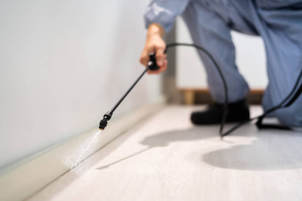 Licensed Pest Control service in Jackson, OH - Show Me Pest Control