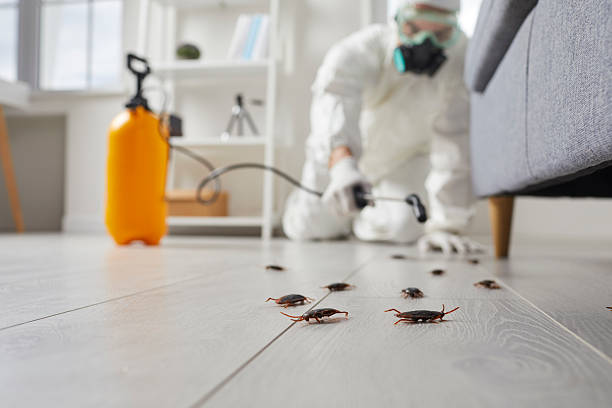 Commercial Kitchen Cockroach Control in Jackson